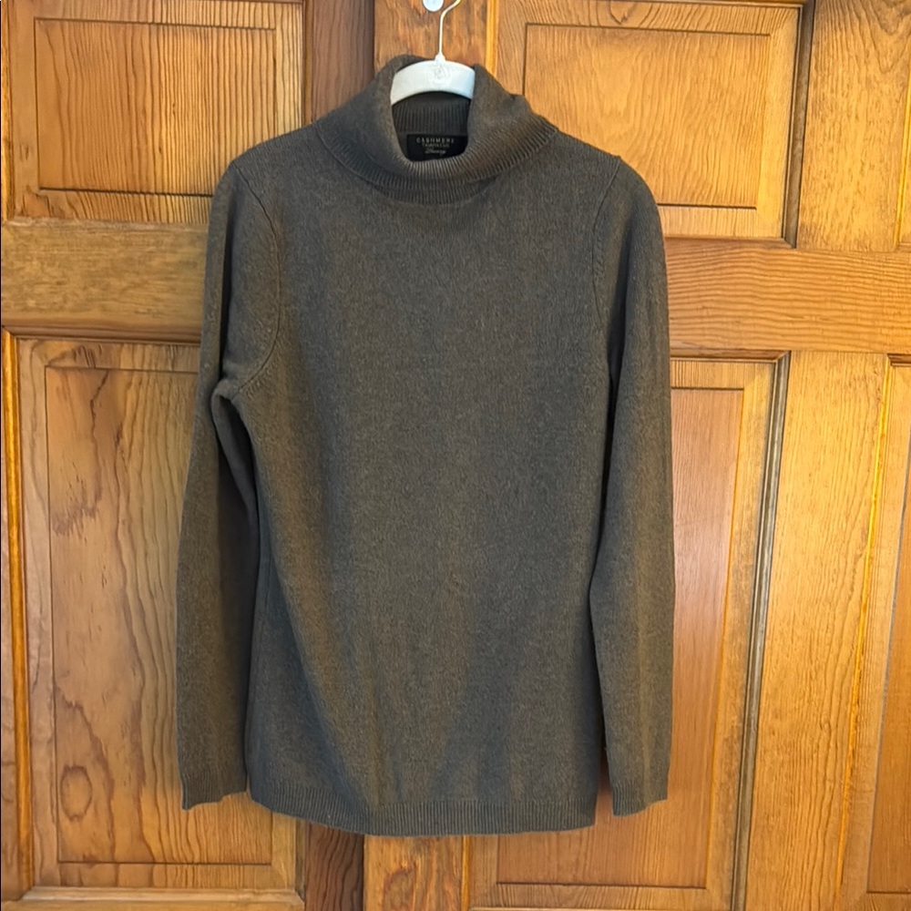 Charter Club Women's Cashmere Turtleneck Sweater - Brown